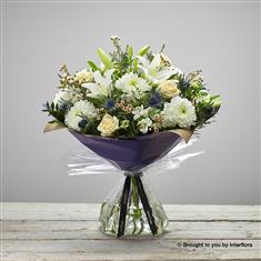 Extra Large Twinkling White&#39;s