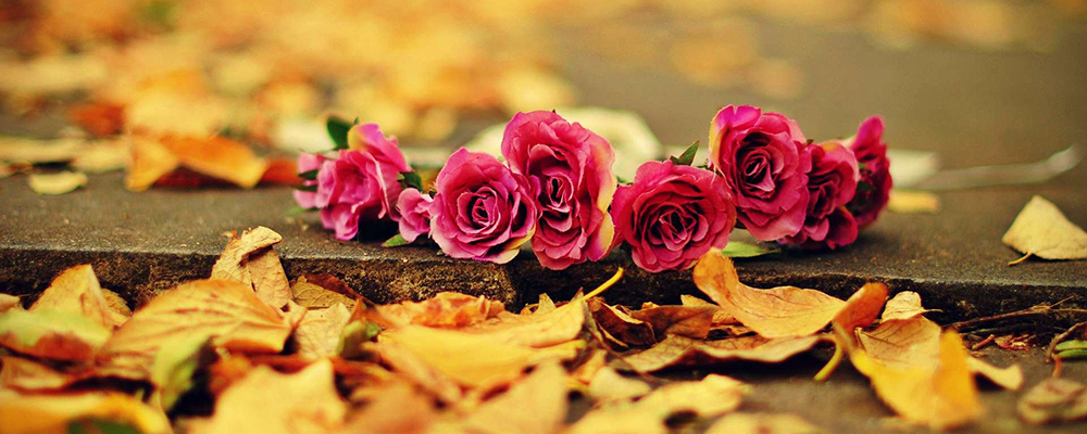 Denise's Flowers, London